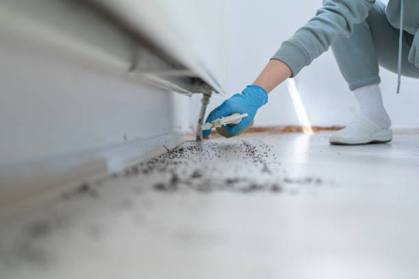 Best Affordable Pest Control Services  in Georgetown, PA